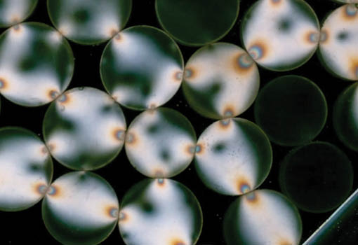 Polyurethane discs viewed through circular polarizers
