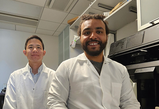 are developing a first-of-its-kind system to observe how DNA physically behaves during gene activity, making visible processes that have long been inferred but never directly seen.