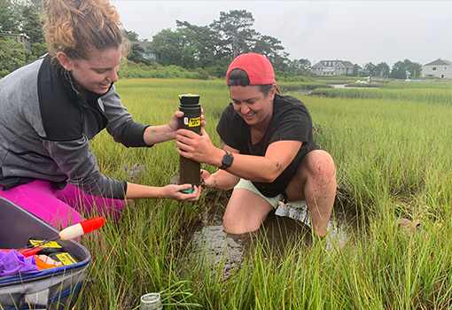 Assistant Professor Elizabeth Wilbanks (left) and PhD student Victoria Jones collect a mud core from the Penzance Point marsh in Massachusetts, where they found pink berries.