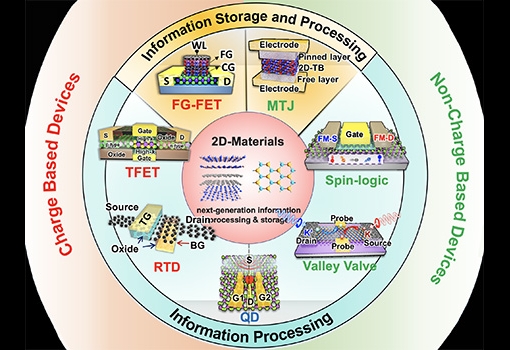 An illustration of six devices built on 2D platforms in the Banerjee lab to support next-generation information processing and storage. 