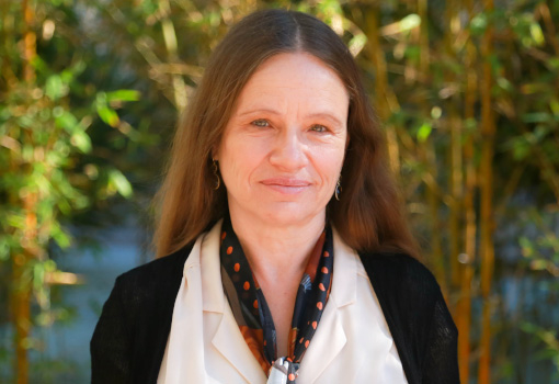 Linda Petzold Professor of Mechanical Engineering and Computer Science