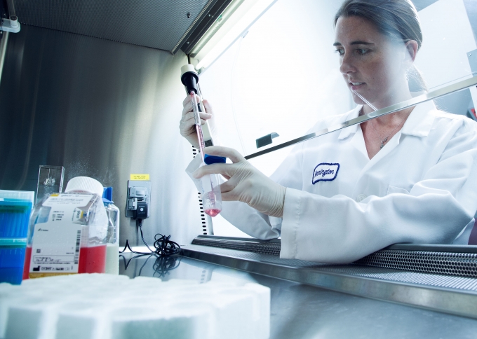 researcher prepares cell culture medium