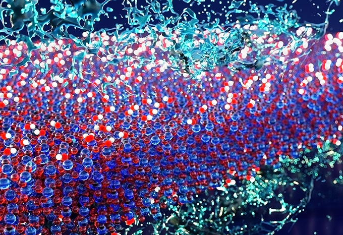 Concept art showing the dynamics of water (blue-green shapes at top and bottom) at the interface of a membrane (blue horizontal section at center) with hydrophobic and hydrophilic groups scattered across the surface. Illustration by Peter Allen