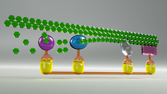 Illustration of a newly discovered protein and its unique structure that allows for assembly-line-line breakdown of glucose in cellulose.